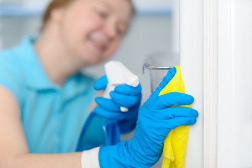 Homeowner using enzyme cleaner to treat pet urine