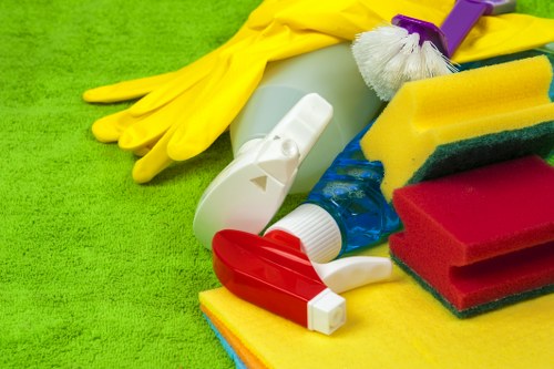 Professional equipment for deep carpet extraction