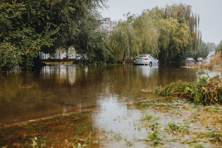 An outdoor street scene during a flood with brown, muddy water submerging the road, partially flooding the sidewalks and surrounding greenery. Streetlights and a white safety barrier are visible, with